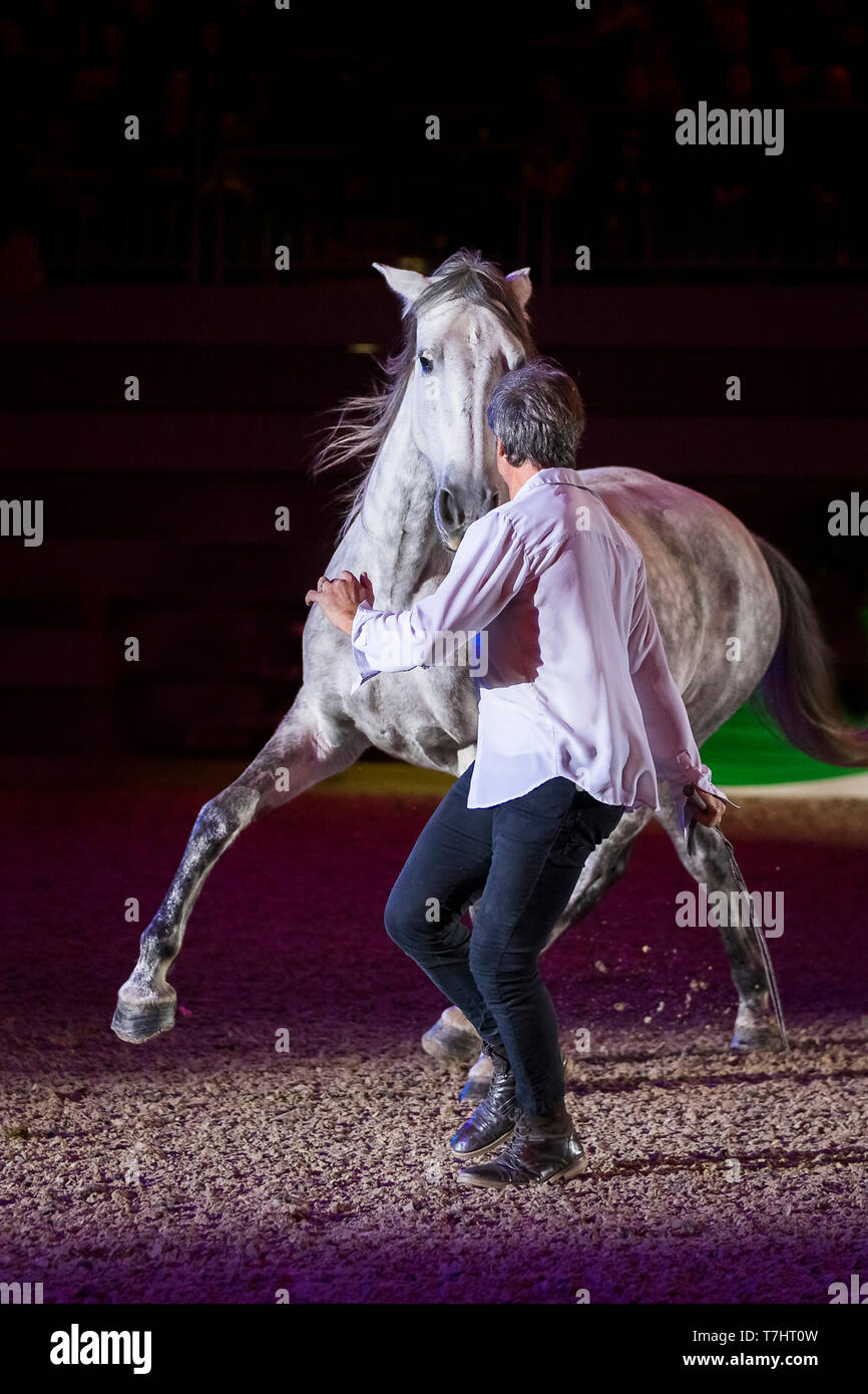 Jean-Francois Pignon mostrante una liberty dressage con un cavallo grigio, semi-pass Foto Stock