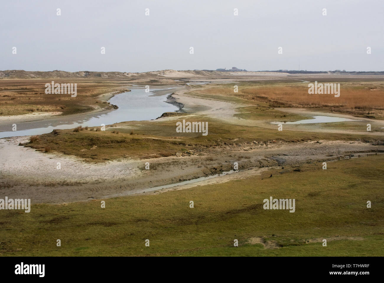 Paesaggio Het Zwin, Belgio al confine con i Paesi Bassi. Foto Stock