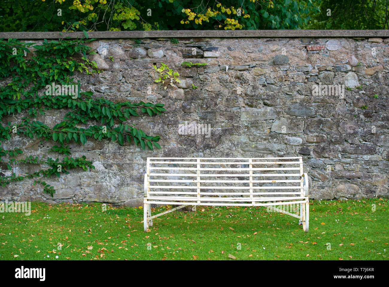 Ferro battuto panca in giardino, REGNO UNITO Foto Stock
