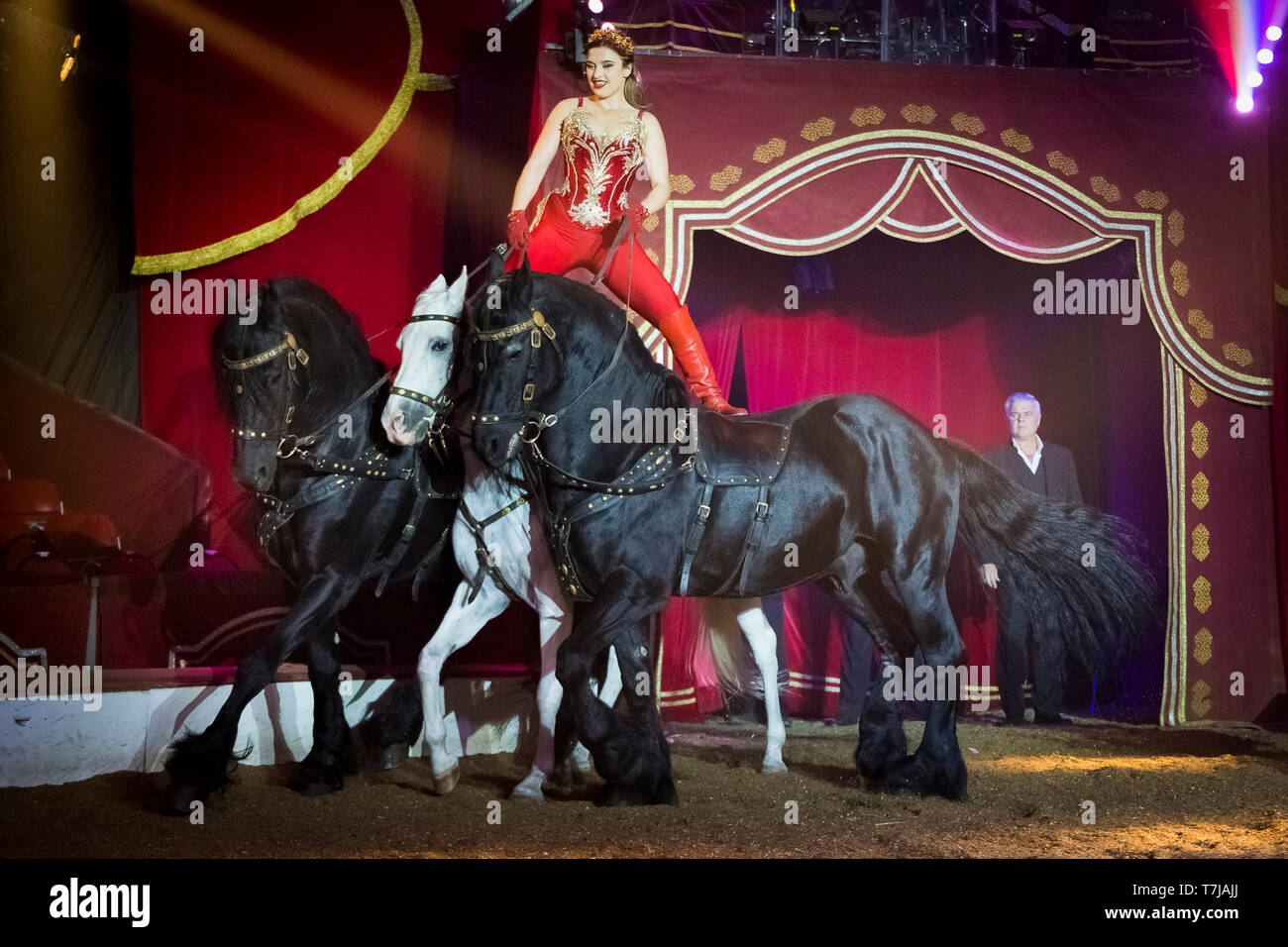 Performer Sara Biasini-Berousek in piedi su due Frisone cavallo durante una mostra a Louis circo Knie jun. Foto Stock