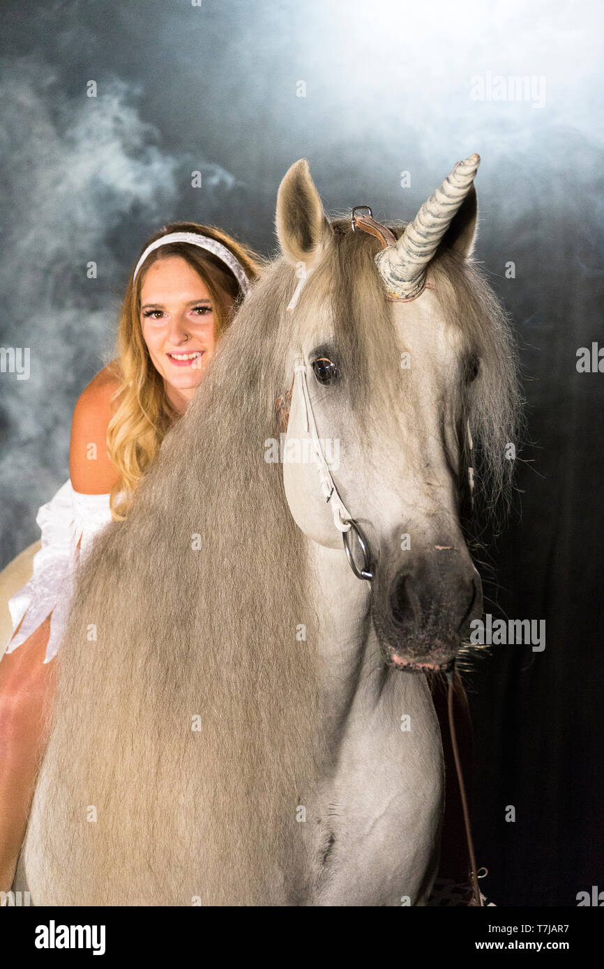 Giovane donna (fata, vergine) sul retro di unicorn (puro Cavallo Spagnolo con attaccato il clacson). Germania Foto Stock
