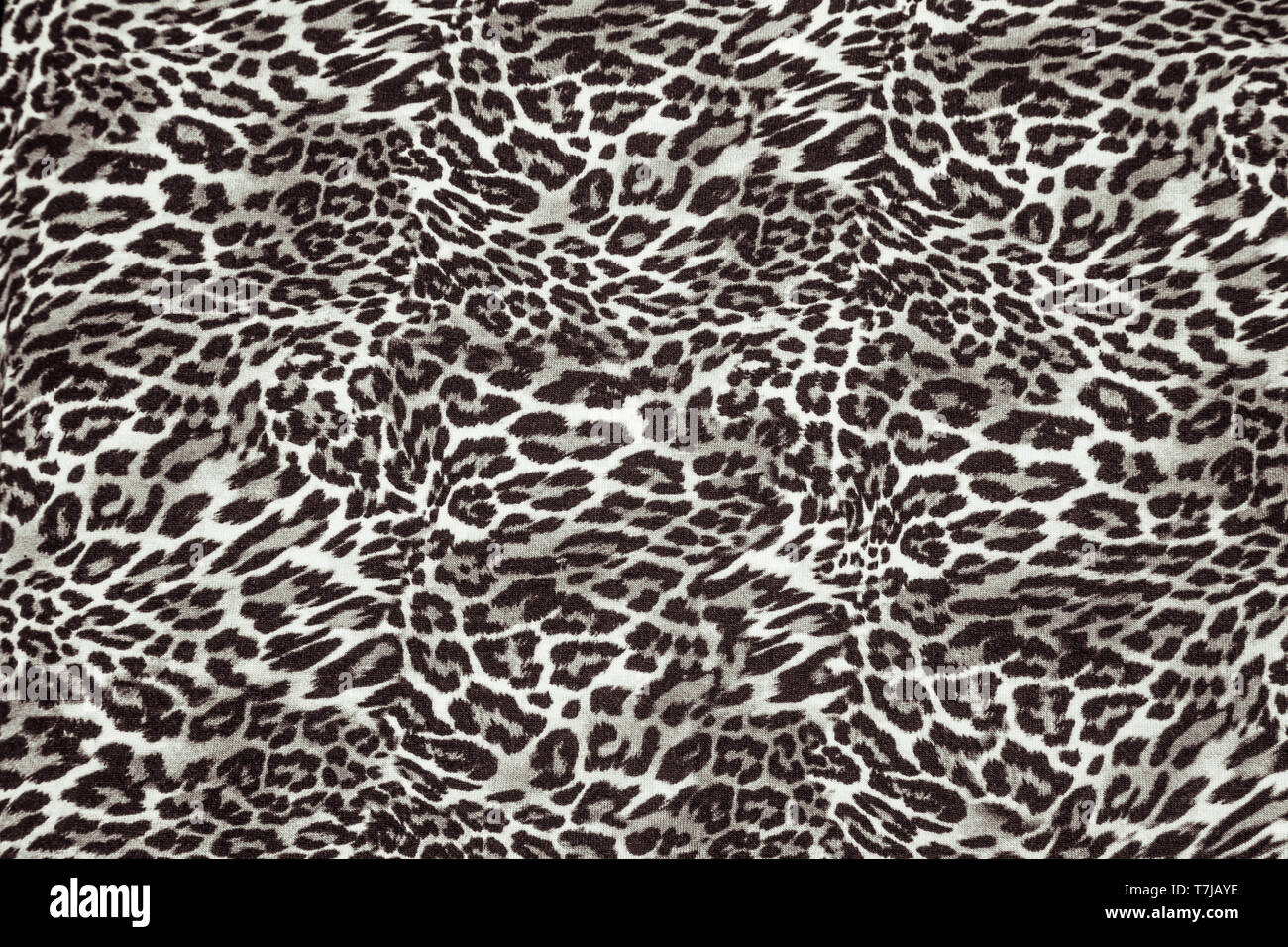 Leopard seamless texture tessuto animale decor stampa stampa Leopard wallpaper Foto Stock