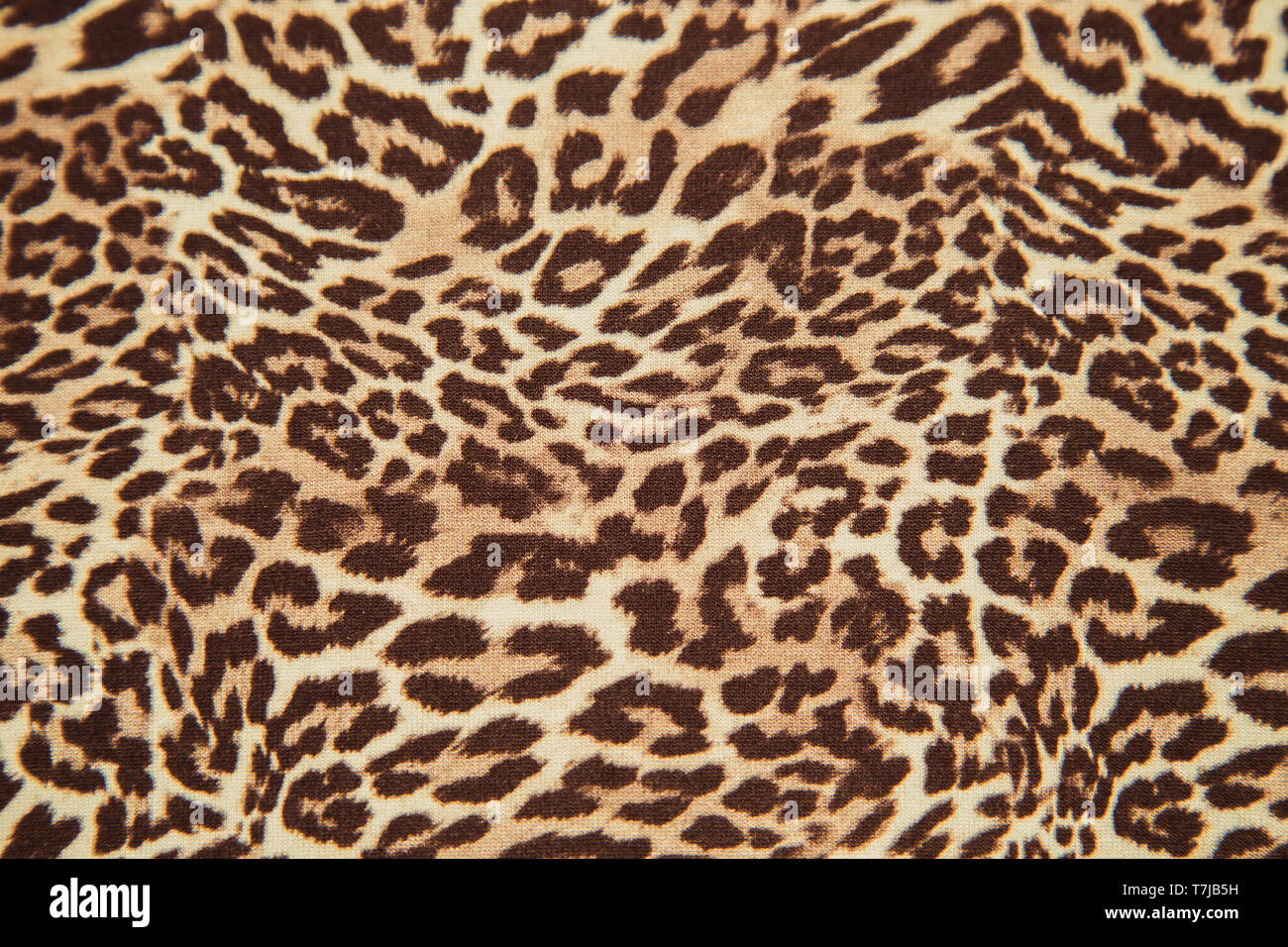 Leopard configurazione di sfondo animale leopard stampa il design tessile tessuto a pelle di leopardo modello senza giunture Foto Stock