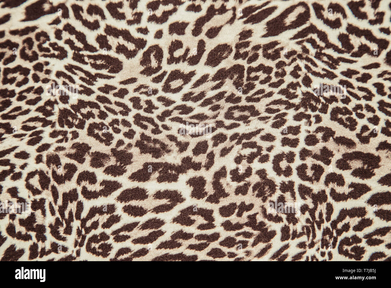 Leopard animale stampa materiale texture Foto Stock