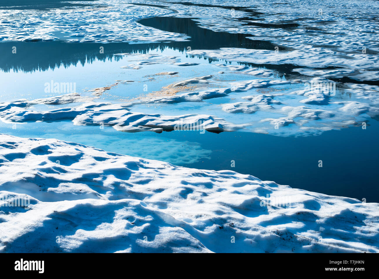 Lago di riflessione presso il Parco Nazionale del Monte Rainier, nello Stato di Washington, USA Foto Stock