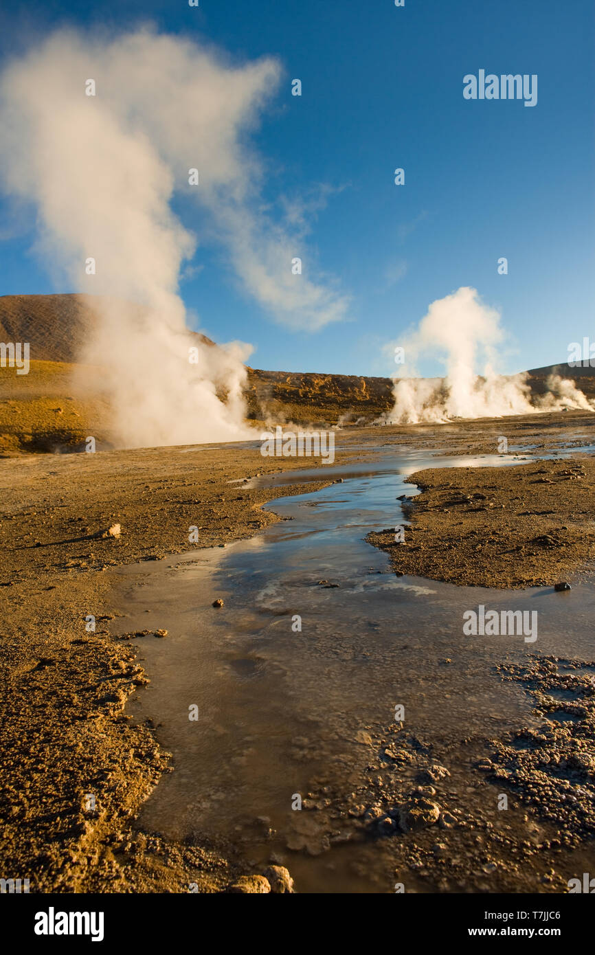 Acqua congelata e fumarole ad una altitudine di 4300m, El Tatio geyser, il deserto di Atacama, Regione di Antofagasta, Cile, Sud America Foto Stock