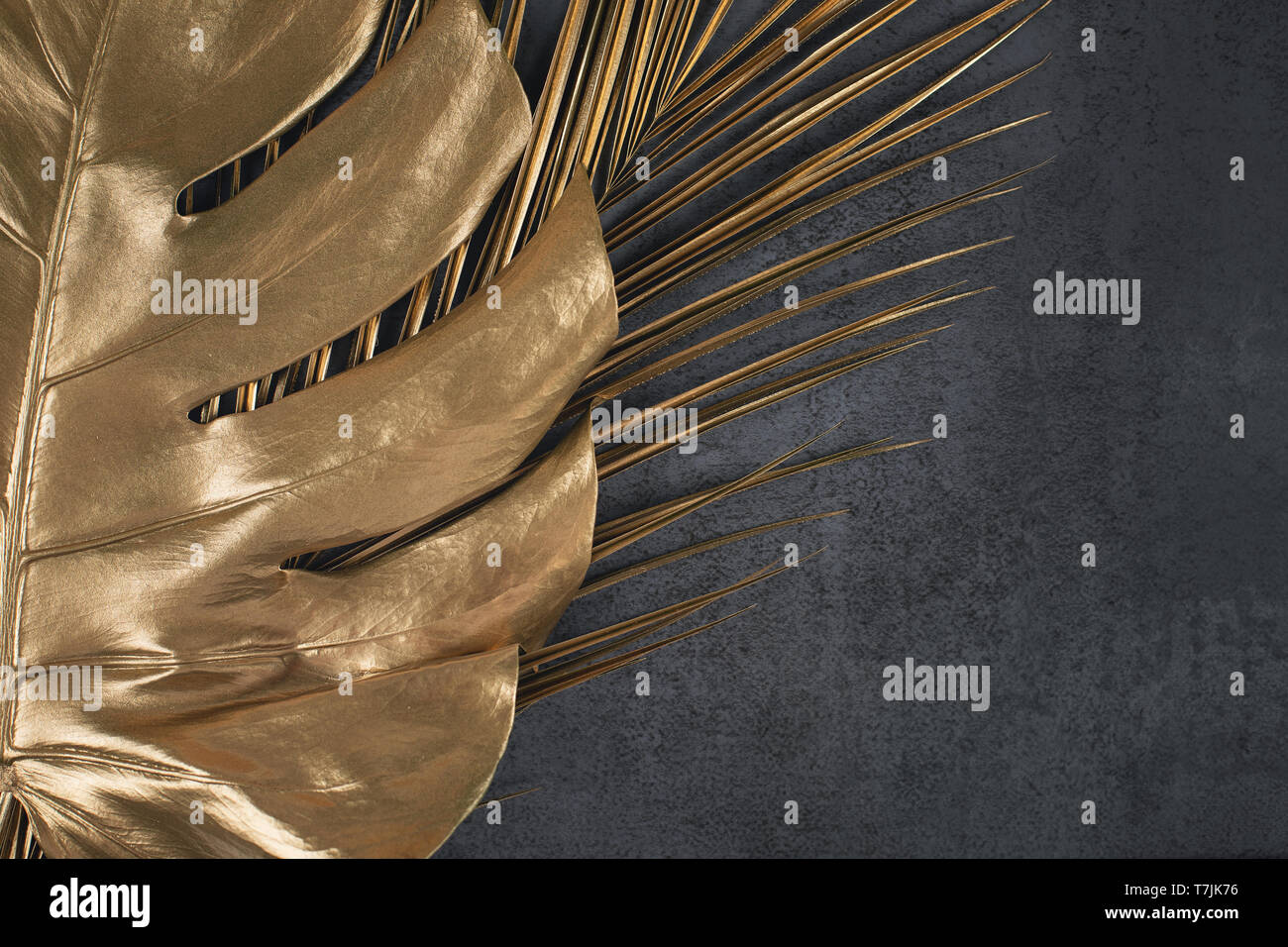 Primo piano della golden palm e foglie di monstera su abstract grigio scuro dello sfondo a trama. Tropical concettuale alla moda elegante sfondo d'estate. Lay piatto. Foto Stock