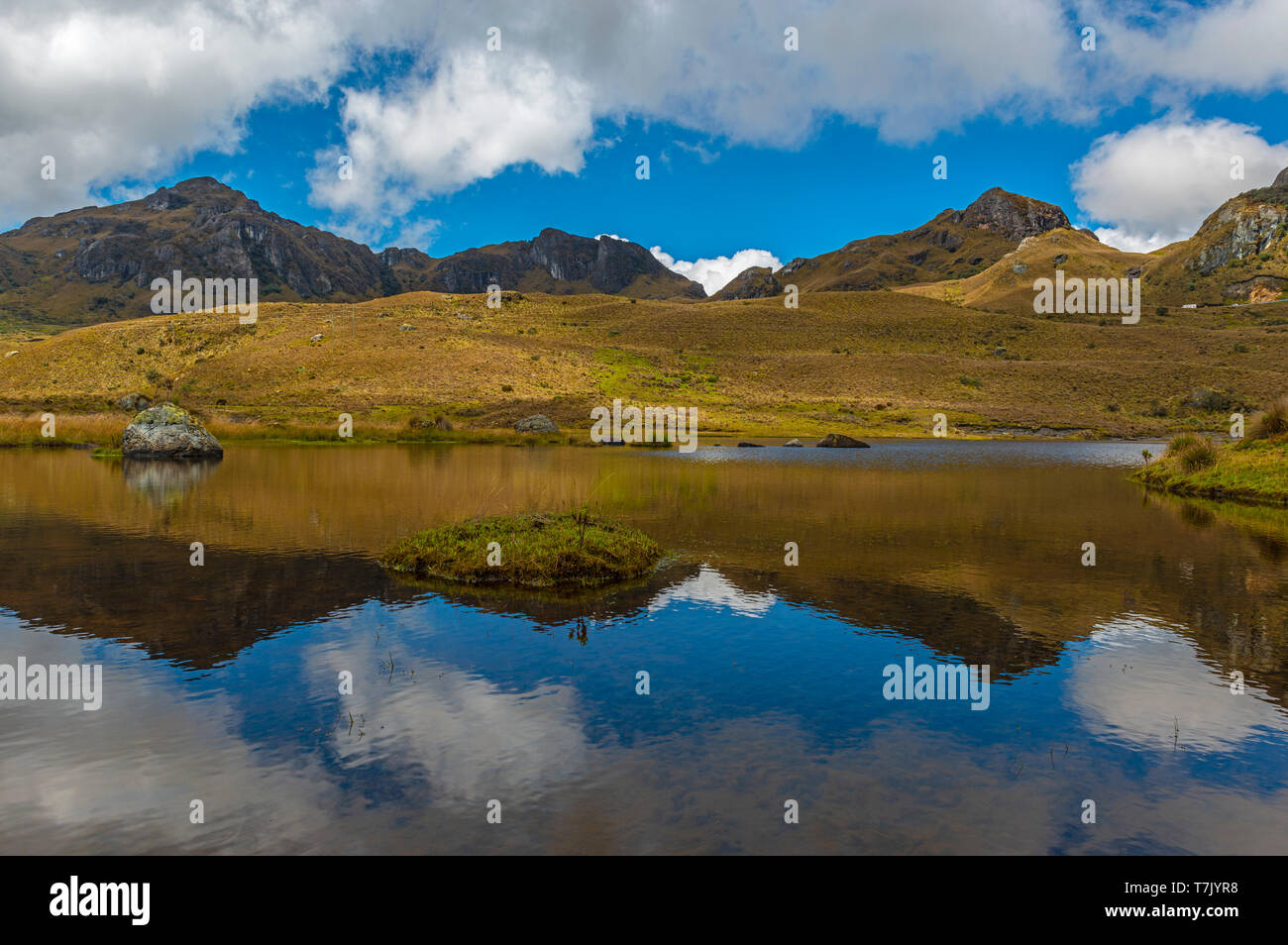 La riflessione della Cordigliera delle Ande in uno dei molti lagune all'interno del Parco Nazionale Cajas al di fuori di Cuenca, Ecuador. Foto Stock