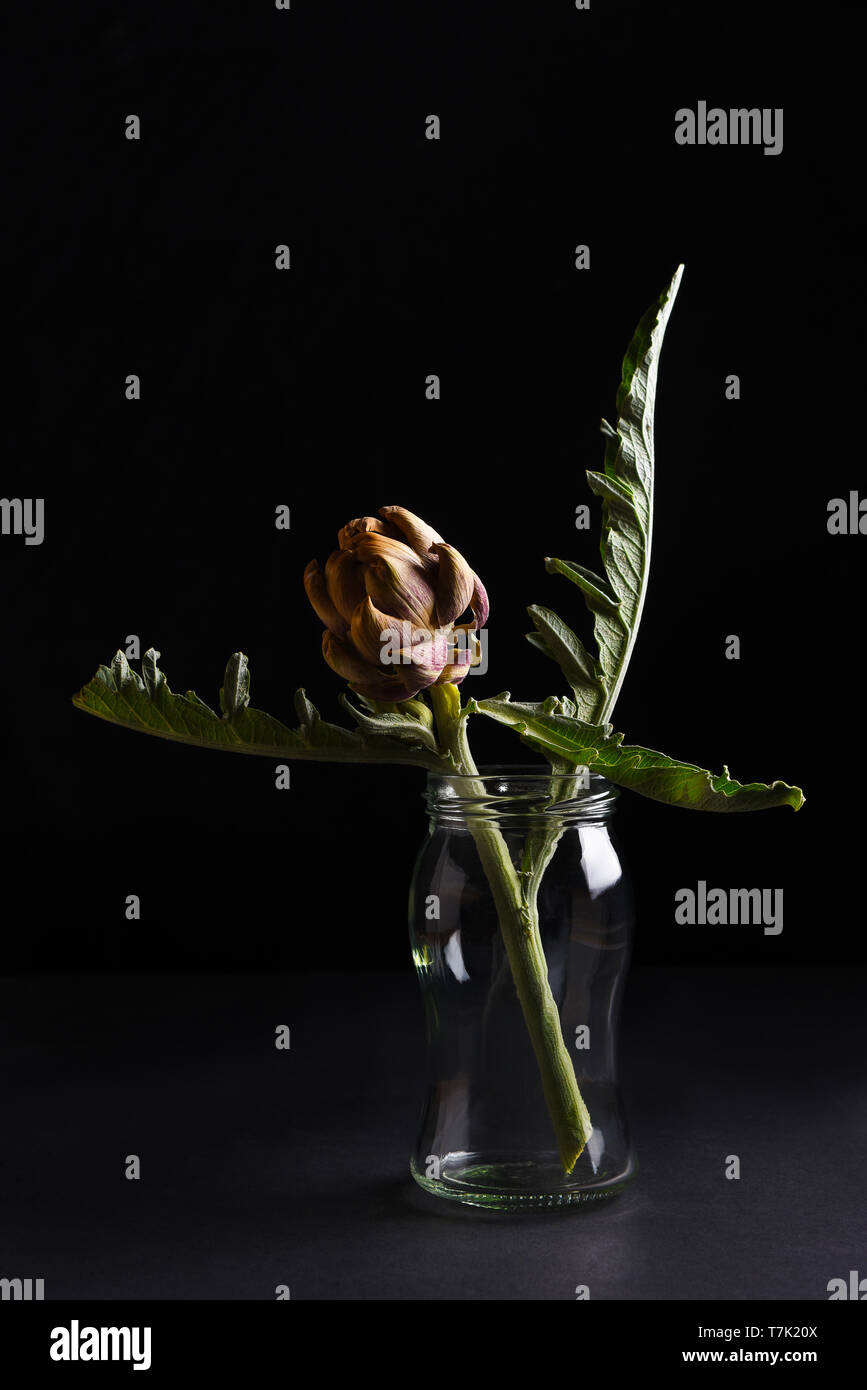 Ancora la vita di un piccolo carciofo essiccate con foglie in un vaso contro uno sfondo nero. Foto Stock