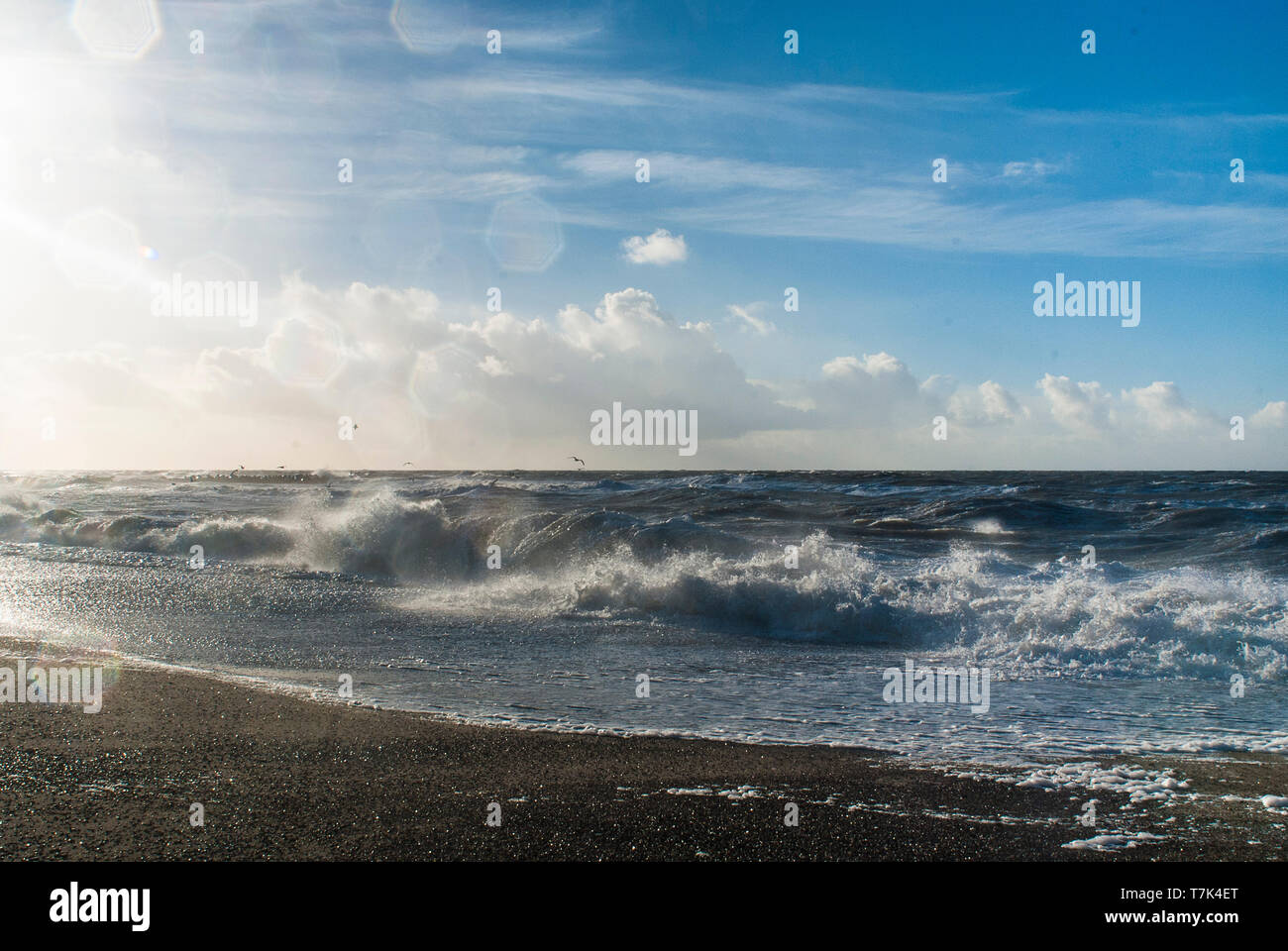Foto scattata su un soleggiato ma freddo pomeriggio invernale nei pressi di Agger in Danimarca. Il mare del Nord fu drammatico, ruvido e bella. Foto Stock