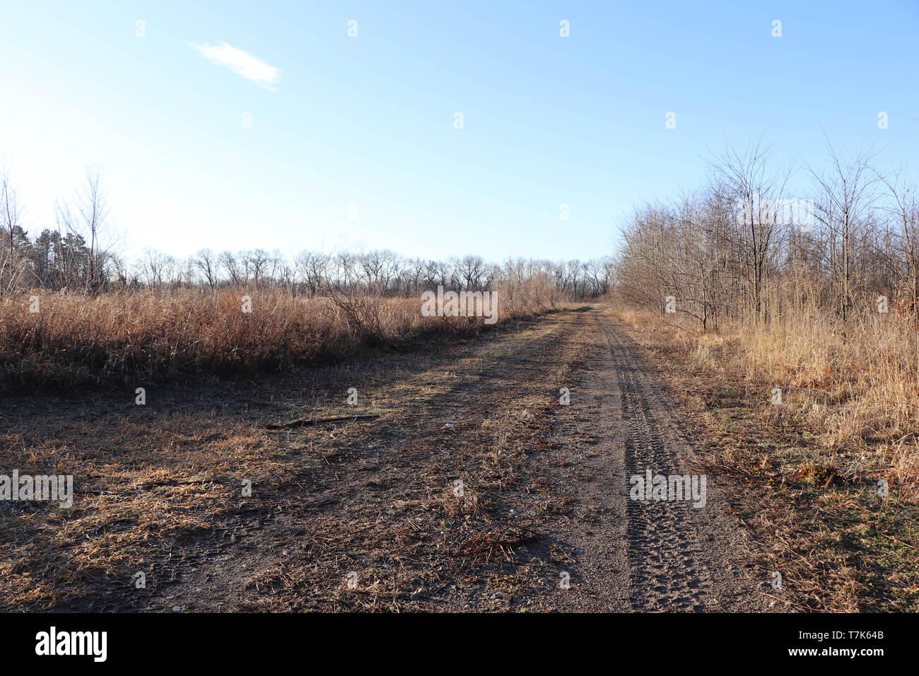 Strada sterrata Foto Stock