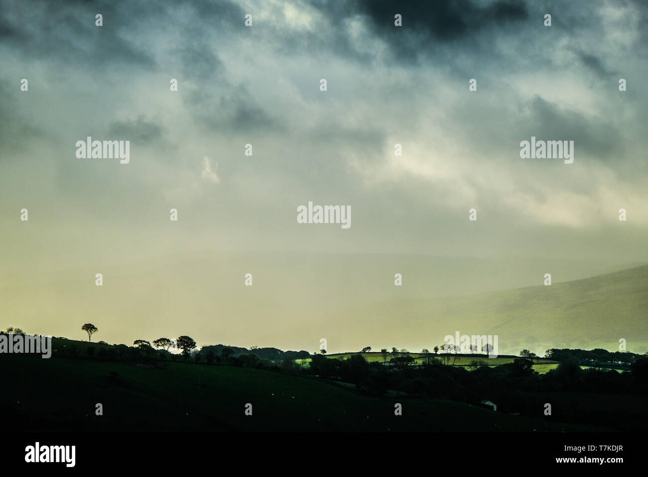 Il Galles Ceredigion REGNO UNITO, mercoledì 08 maggio 2019 UK Meteo: Un grigio e nuvoloso e freddo per iniziare la giornata in Ceredigion nel Galles, come umido meteo condizioni non liquidate in rotolo sulle colline di questo ambiente rurale della contea di gallese Photo credit: keith morris/Alamy Live News Foto Stock