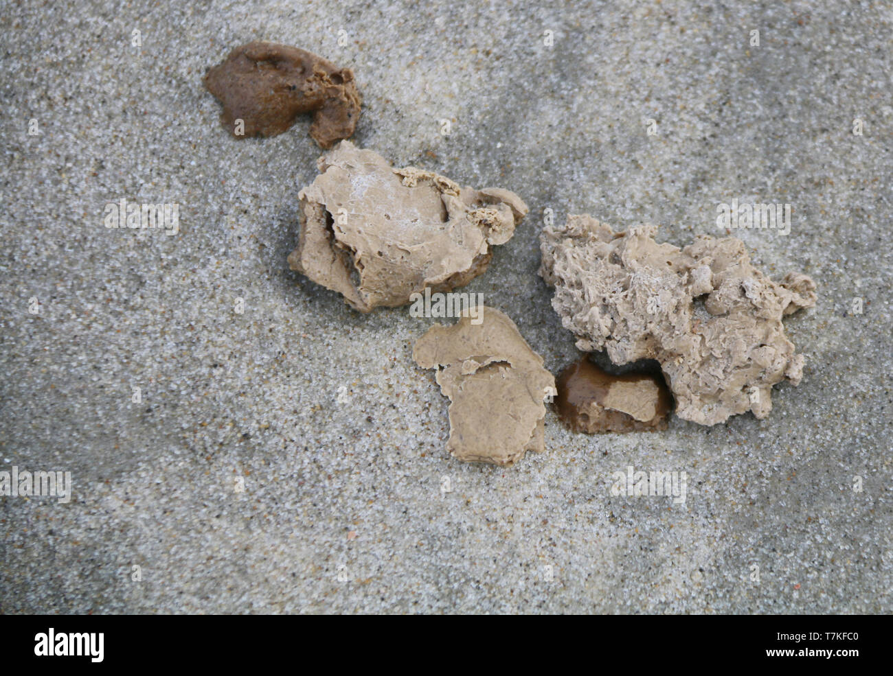 Norderney, Germania. 07 Maggio, 2019. Grumi di una precedentemente materiale sconosciuto giacciono sulla spiaggia di Norderney. L'Agenzia di Stato per la gestione delle acque, per la protezione delle zone costiere e la conservazione della natura (NLWKN) sta attualmente esaminando il materiale alluvionale. Credito: Volker Bartels/dpa/Alamy Live News Foto Stock