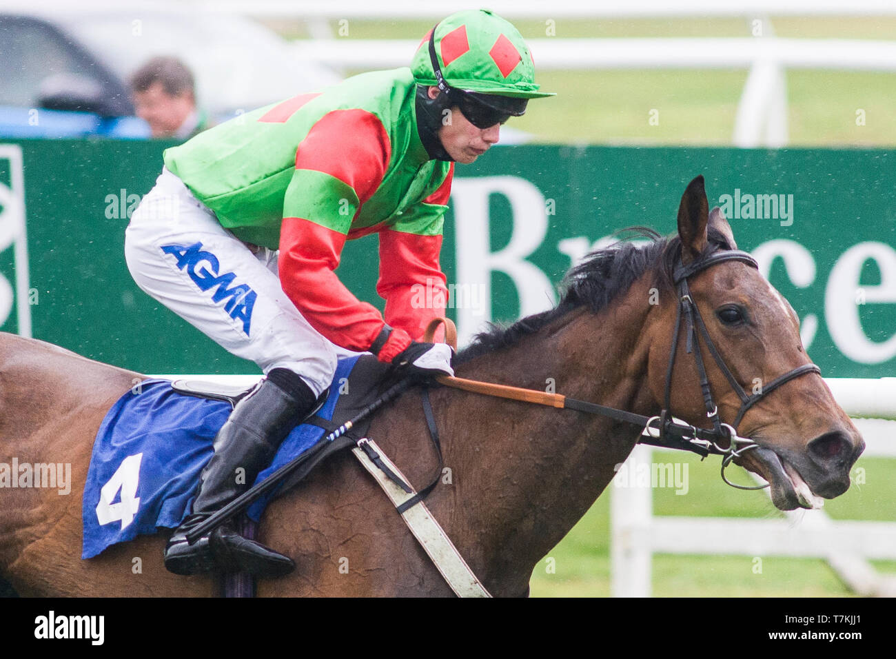 Kelso, Scottish Borders, UK. 8 maggio 2019. Kitty Fisher, cavalcato da Thomas Willmott e addestrati da Sandy Forster durante il Douglas Home & Co novizi' Handicap Steeple Chase a Kelso Racecourse. Credito: Scottish Borders Media/Alamy Live News Foto Stock