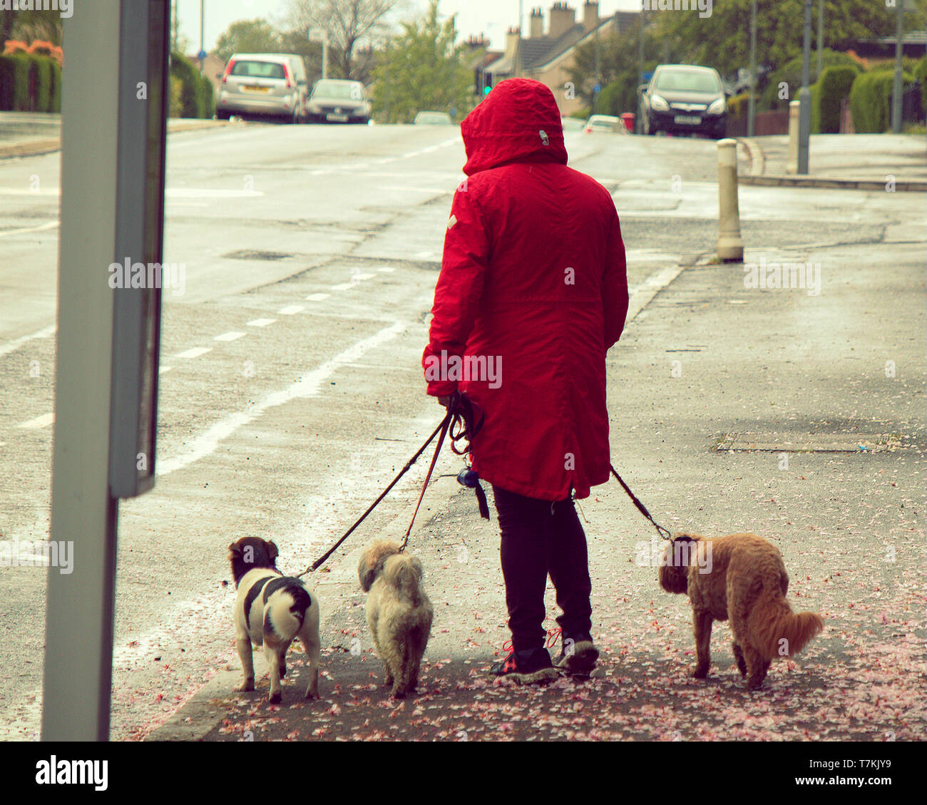 Glasgow, Scotland, Regno Unito, 8 maggio, 2019, UK Meteo. Pioggia e freddo in città per una giornata noiosa. . Credito traghetto Gerard/Alamy Live News Foto Stock