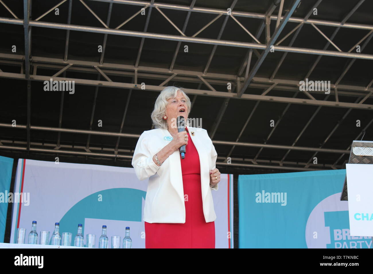 Ann Widdecombe parlando al partito Brexit nel rally di Chester, l'evento ha visto la partecipazione di circa 350 persone Foto Stock