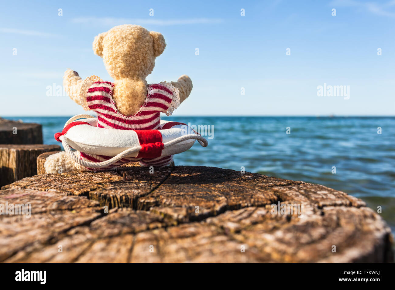 Orsacchiotto di peluche seduto sulla scogliera di legno al mare, godere di giornata soleggiata in nostalgico il costume da bagno con salvagente (copia spazio) Foto Stock
