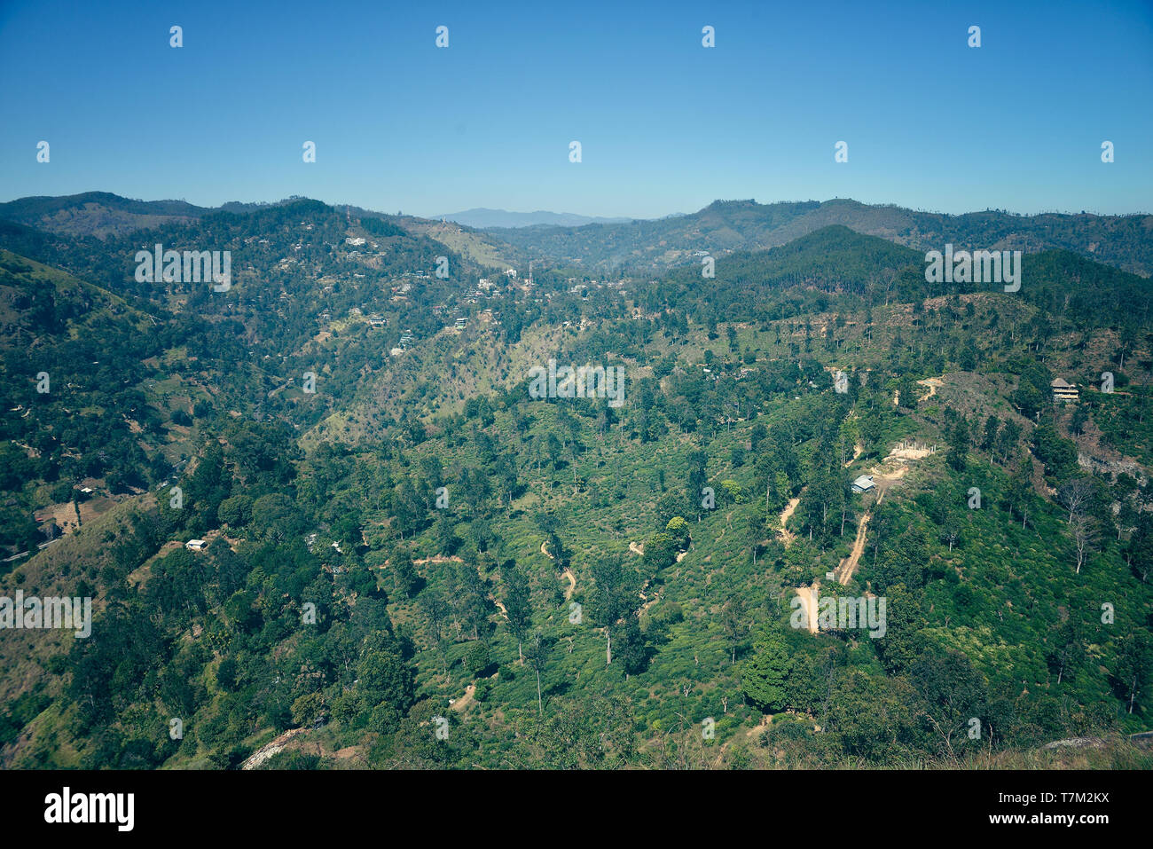 Paesaggio di montagna in Sri Lanka Foto Stock