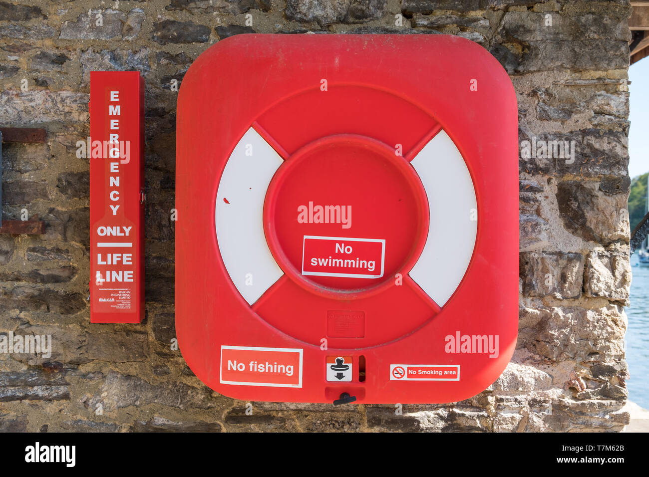 Anello di vita e vita Vita in casi rosso attaccato al muro di pietra dal fiume Dart nel Devon, Regno Unito Foto Stock