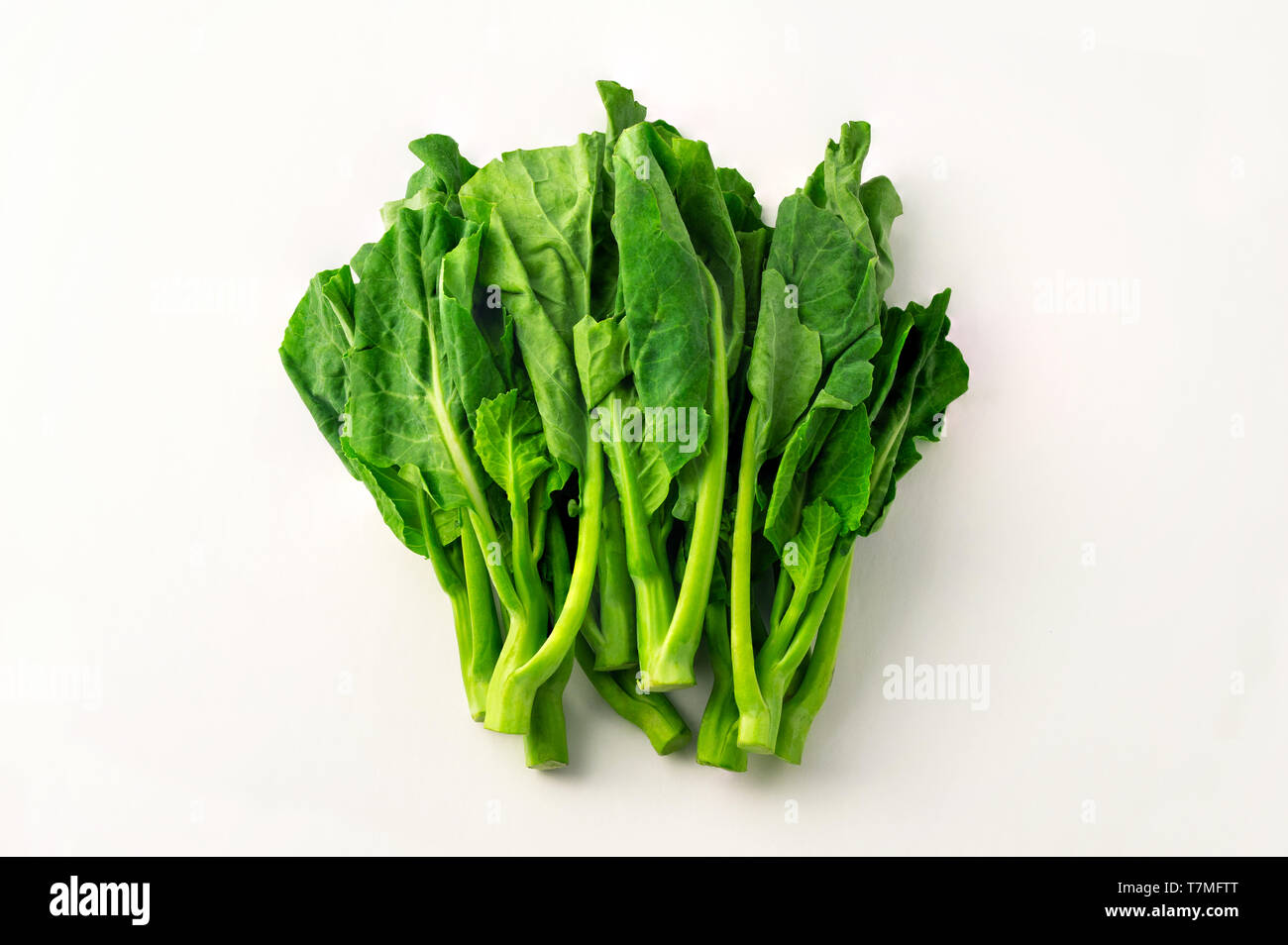 Organici di choy sum, ortaggi a foglia verde Foto Stock