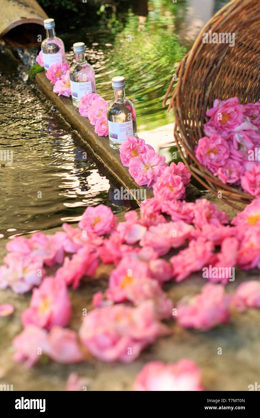 Francia, Alpes Maritimes (06), peymeinade, Domaine du Mas de l'olivina, Au Pays d'Audrey, flaconi d'Eau de Rose de Mai Foto Stock