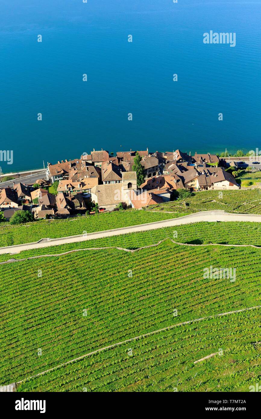 La Svizzera, canton Vaud, sul Lago di Ginevra, Lavaux osui distretto, Lavaux, vigneti terrazzati, Sito Patrimonio Mondiale dell'UNESCO, Saint Saphorin (vista aerea) Foto Stock