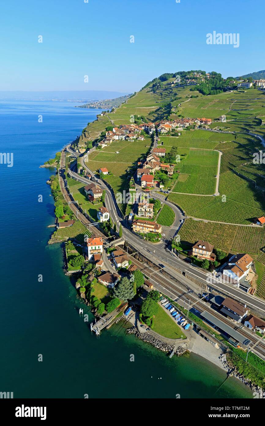 La Svizzera, canton Vaud, sul Lago di Ginevra, Distretto di Lavaux osui, vigneti terrazzati, classificata patrimonio mondiale dall UNESCO, Rivaz, Chexbres in background (vista aerea) Foto Stock