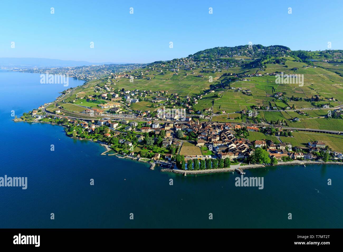 La Svizzera, canton Vaud, sul Lago di Ginevra, Lavaux osui distretto, Lavaux, vigneti terrazzati, Sito Patrimonio Mondiale dell'UNESCO, Bourg en Lavaux, Cully (vista aerea) Foto Stock