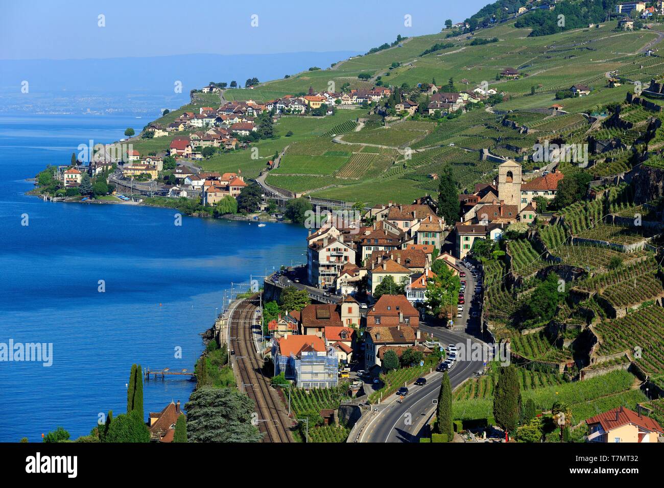 La Svizzera, canton Vaud, sul Lago di Ginevra, Lavaux osui distretto, Lavaux, vigneti terrazzati, Sito Patrimonio Mondiale dell'UNESCO, Saint Saphorin (vista aerea) Foto Stock