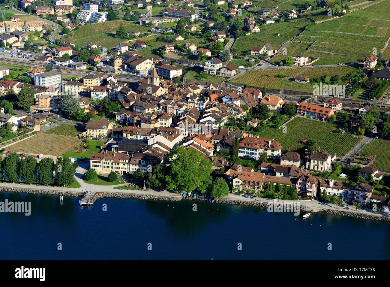 La Svizzera, canton Vaud, sul Lago di Ginevra, Lavaux osui distretto, Lavaux, vigneti terrazzati, Sito Patrimonio Mondiale dell'UNESCO, Bourg en Lavaux, Cully (vista aerea) Foto Stock