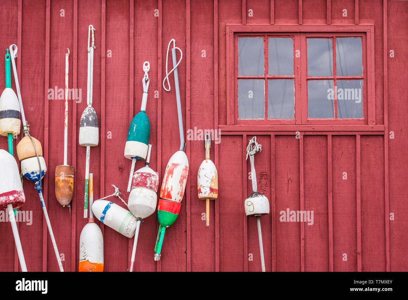 Stati Uniti, New England, Cape Ann, Massachusetts, Rockport, astice boe Foto Stock
