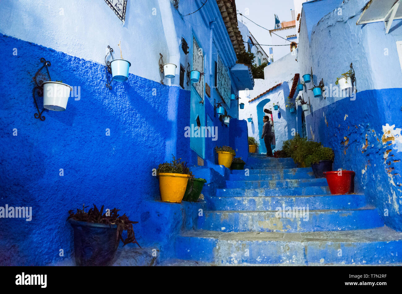 Chefchaouen, Marocco : vasi da fiori in una ripida blu-lavato vicolo della medina old town. Foto Stock