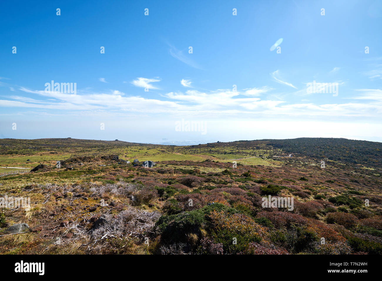 La via per il monte hallasan, Jeju Island, la Corea del Sud. Foto Stock