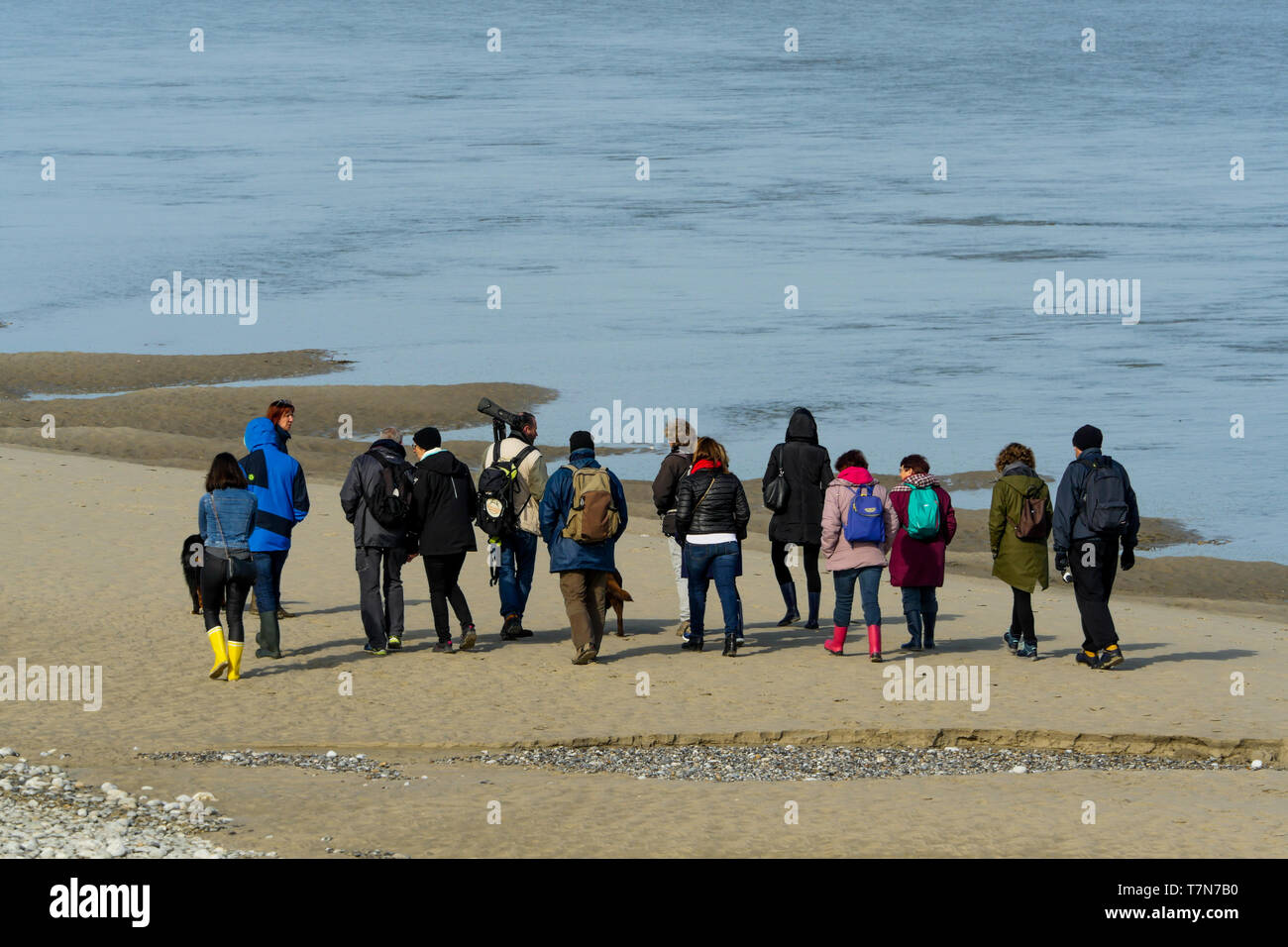 Un gruppo di ornitologi dilettanti cerca di uccelli di mare a Le Hourdel, Baie des Somme, Francia Foto Stock