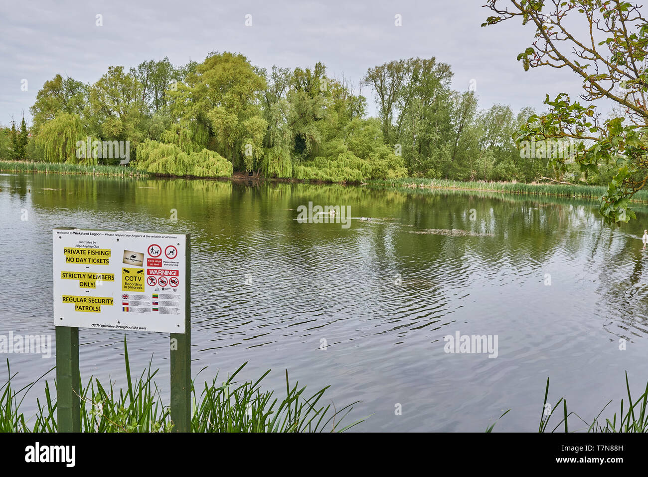 Messaggio di avvertimento che pesca nel lago privato con nessun giorno di biglietti e solo per i soci a Wickstead park, Kettering, Inghilterra. Foto Stock
