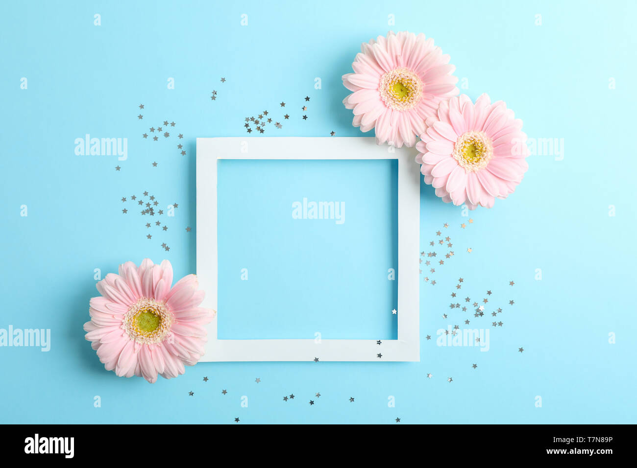 Belle le gerbere e il telaio sul colore di sfondo, spazio per il testo Foto Stock