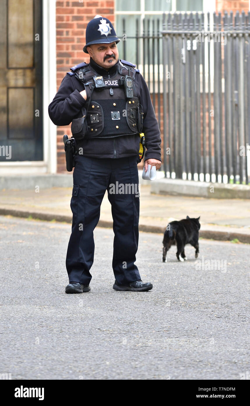 Londra, Inghilterra, Regno Unito. Palmerston il Foreign Office cat, con la protezione della polizia in Downing Street, Maggio 2019 Foto Stock