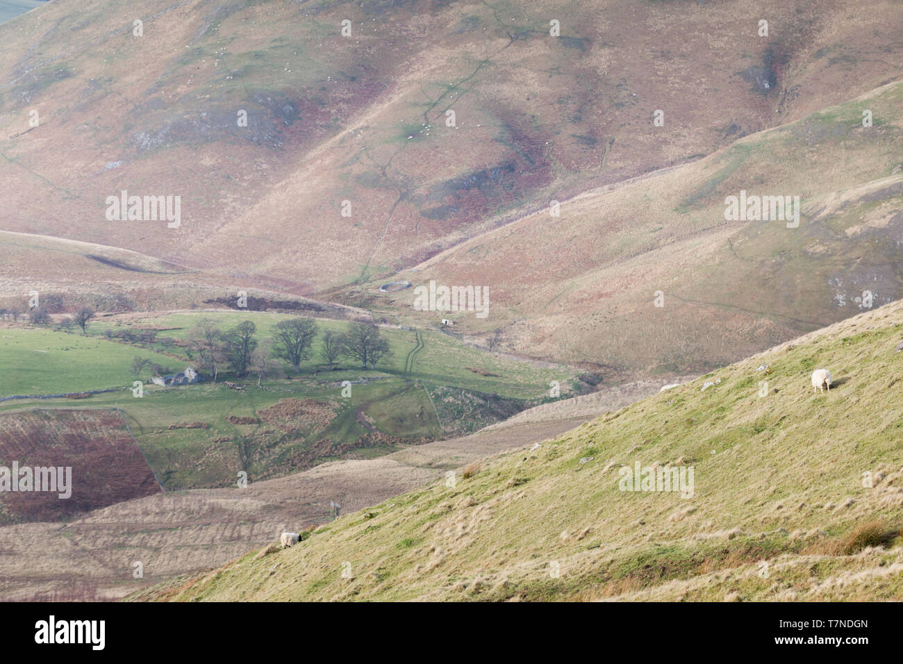 Visualizzazioni di immagini e da escursionismo la fine di del The Pennine Way attraverso aprire espansiva di brughiera su un bellissimo fine giornata invernale. Foto Stock