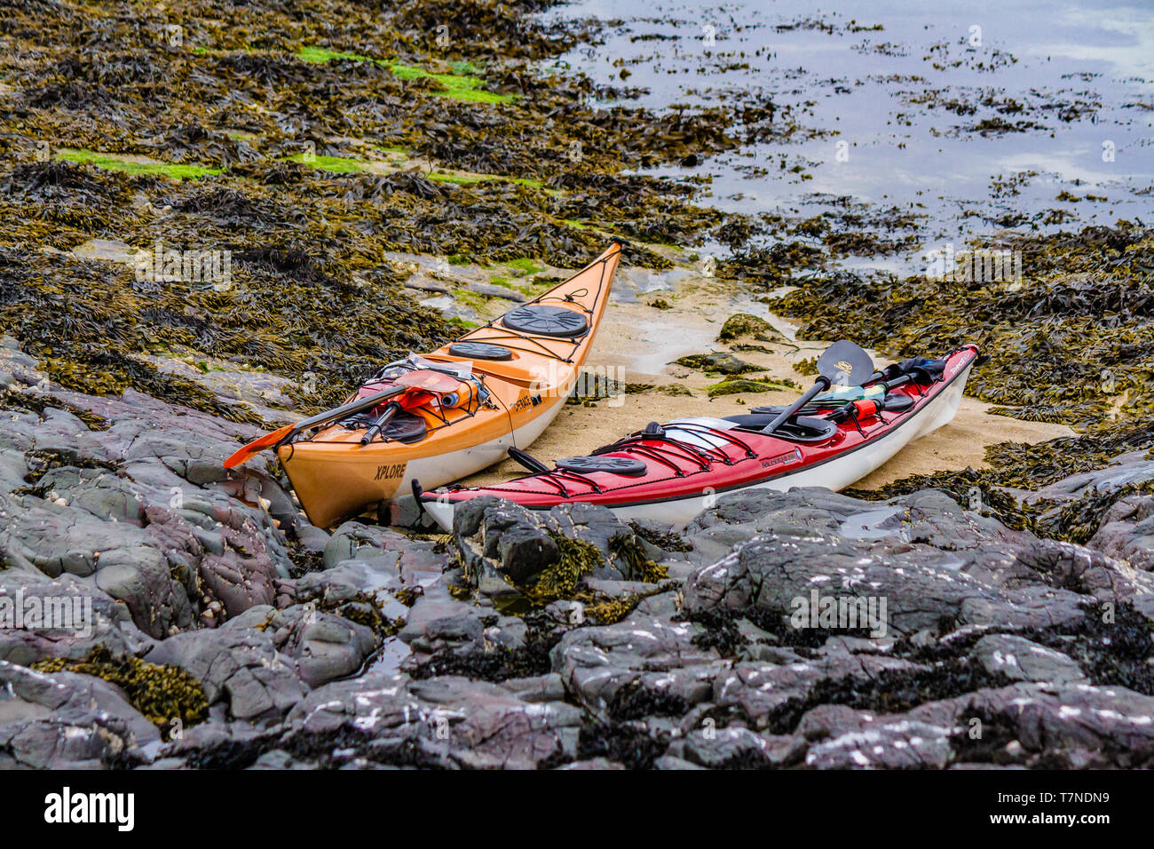 Kayak da mare a sinistra sulla riva mentre i proprietari di esplorare le isole farne, Northumberland, Regno Unito. Maggio 2018. Foto Stock