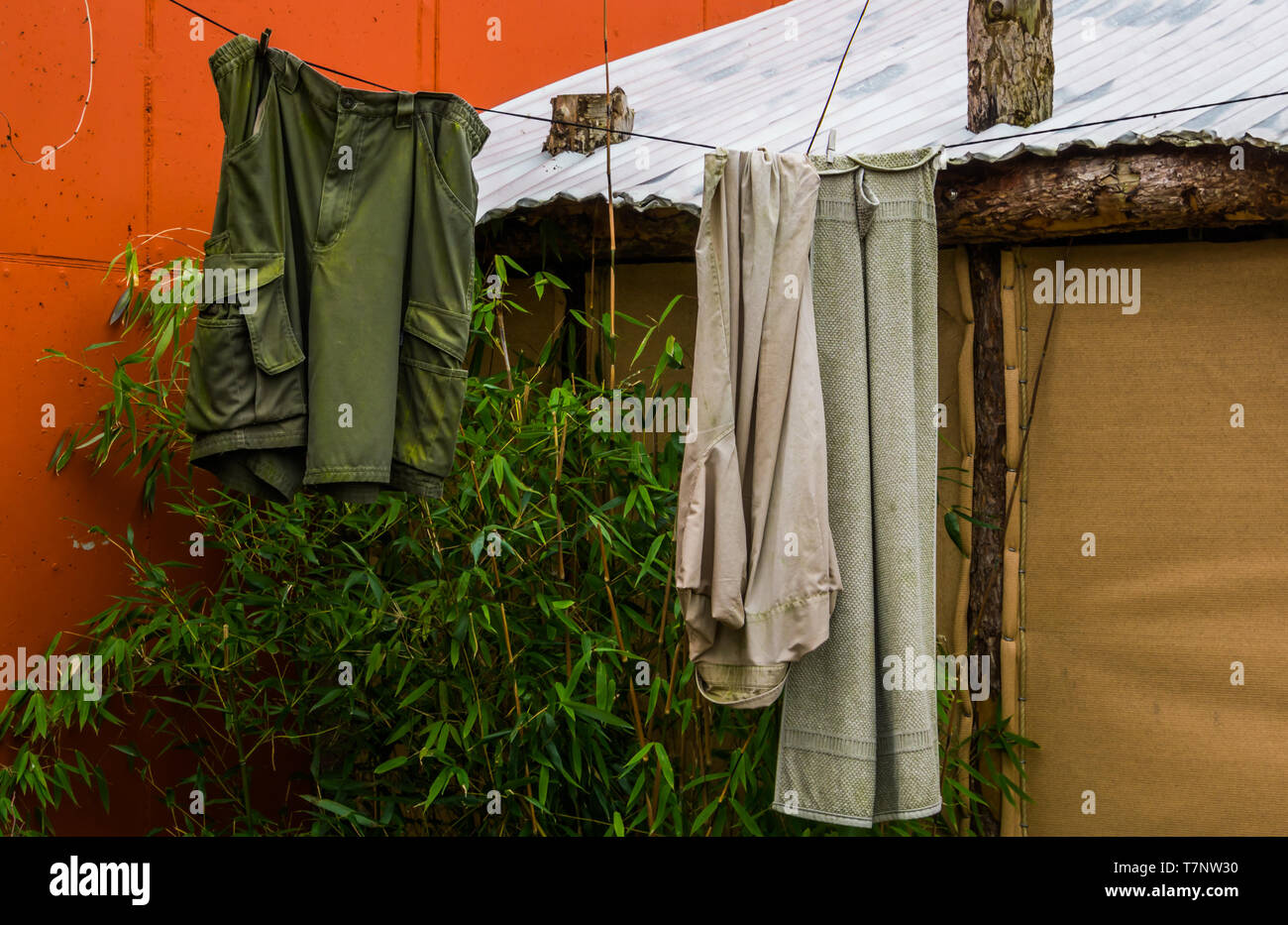 Panni sporchi appesi su una linea di lavaggio, outdoor escursionismo, vivendo in natura Foto Stock