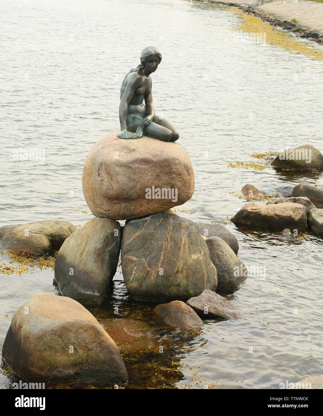 Mermaid nel porto di Copenhagen. Danimarca Foto Stock