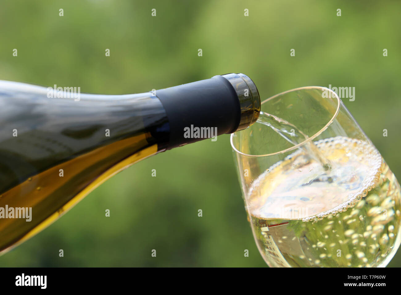 Vino bianco da versare la bottiglia in vetro sulla natura verde sfondo sfocato. Concetto di celebrazione, festa, bere il vino all'aperto, champagne Foto Stock