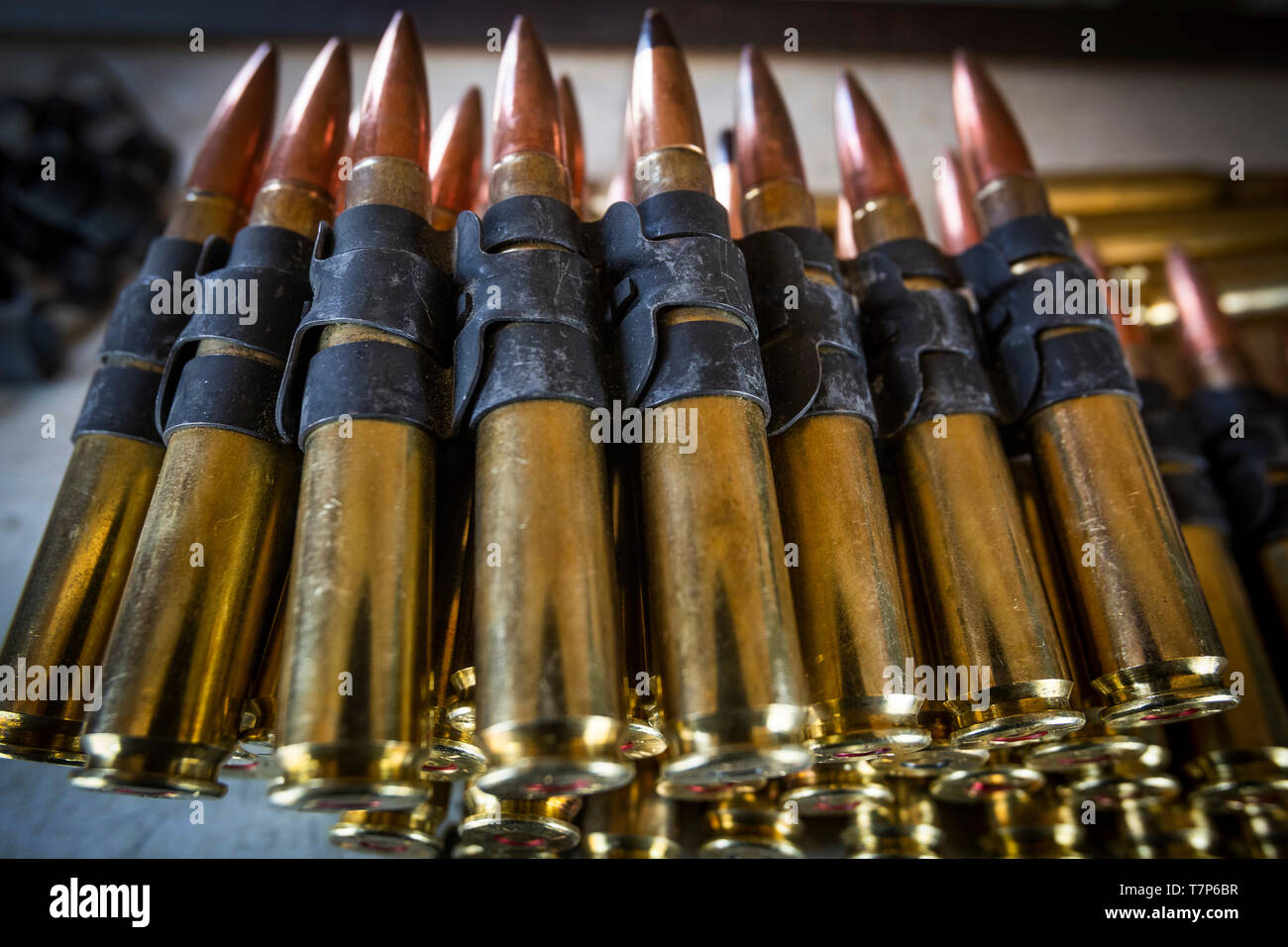 Una cinghia di M2 0,50 Caliber macchina munizioni pistola è pronto per l'uso durante il cinquantesimo Chemical Company, New Jersey esercito nazionale della guardia di formazione annuale a base comuneGuire-Dix Mc-Lakehurst, N.J., 1 maggio 2019. (New Jersey Guardia Nazionale foto di Marco C. Olsen) Foto Stock