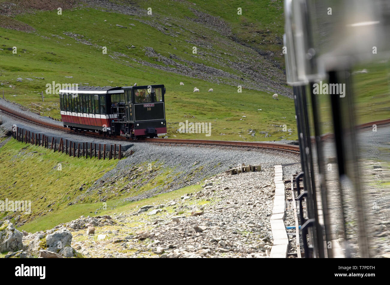 Riunione dei treni sulla carreggiata stretta Mt Snowdon ferrovia in Snowdonia, Galles Foto Stock