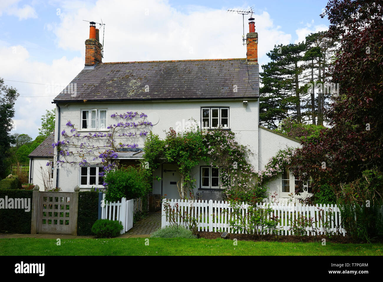 Rovine Cottage, Ayot St Lawrence Foto Stock