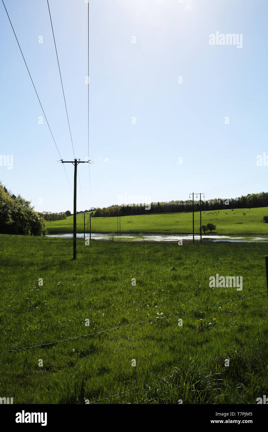 Pali telefonici e cavi sovrastanti stretching attraverso campi verdi Foto Stock