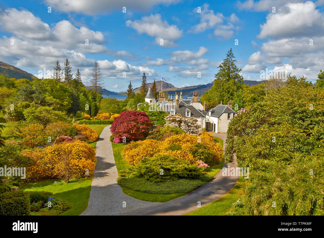 Giardini ATTADALE STRATHCARRON WESTER ROSS IN SCOZIA IN PRIMAVERA la casa e i giardini di azalee in giallo con il Loch CARRON A DISTANZA Foto Stock