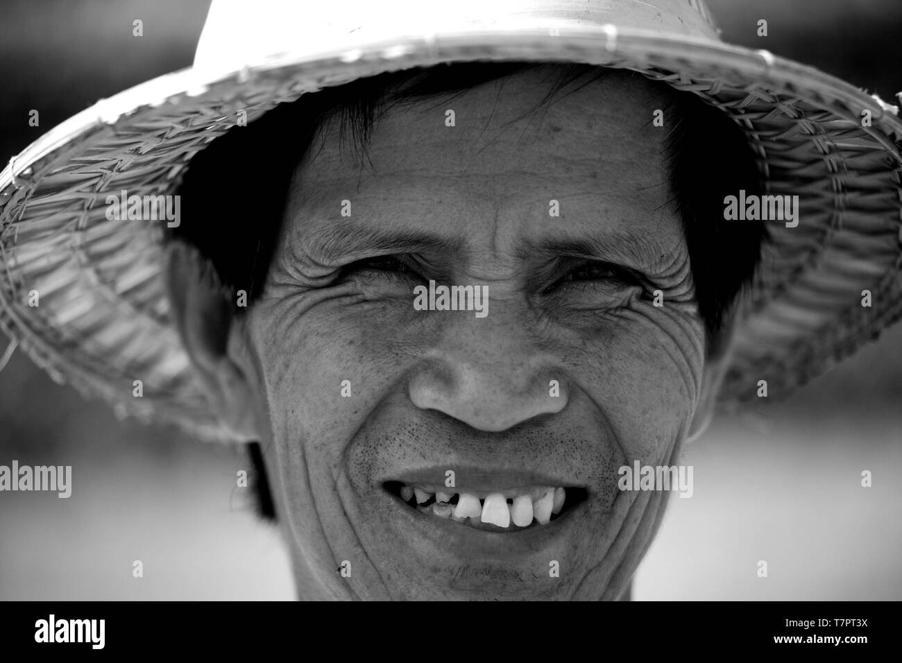 Thailandia, riso tailandese, lavoratore ritratto in risaie del nord Foto Stock