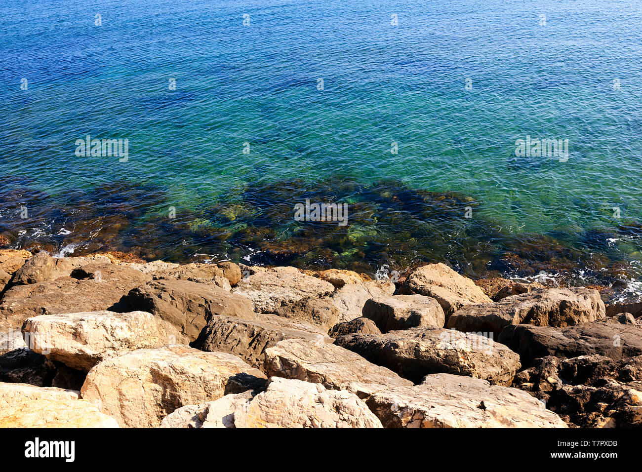L'acqua chiara del Mediterraneo la lappatura sulle rocce alla base del seawall al Porto di Denia sulla Costa Blanca, Spagna Foto Stock