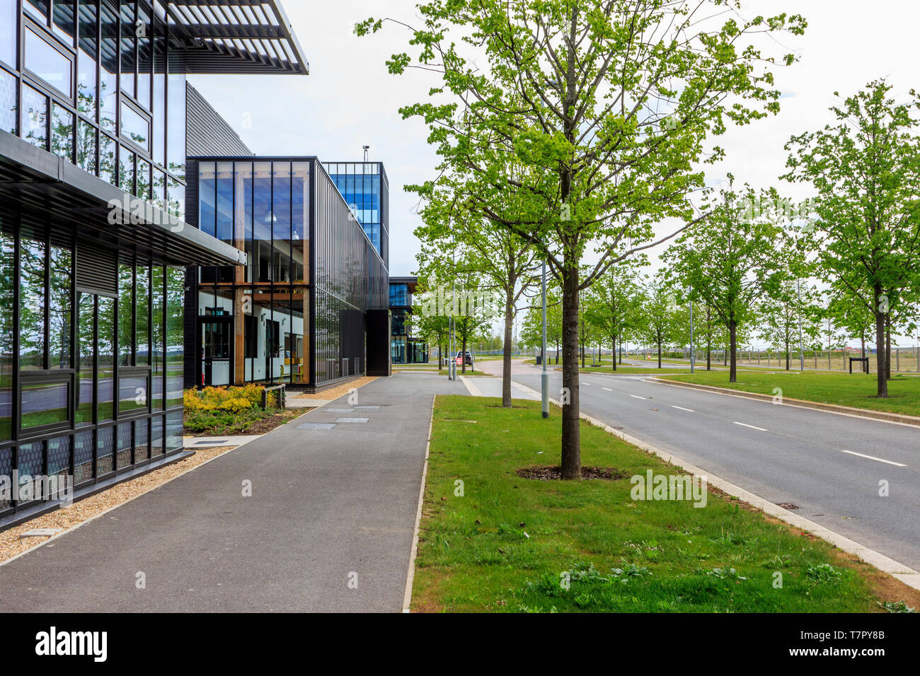 Alconbury Weald, vicino a Huntingdon, Cambridgeshire, Inghilterra, Regno Unito, GB Foto Stock